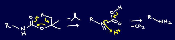 Boc mechanism 2