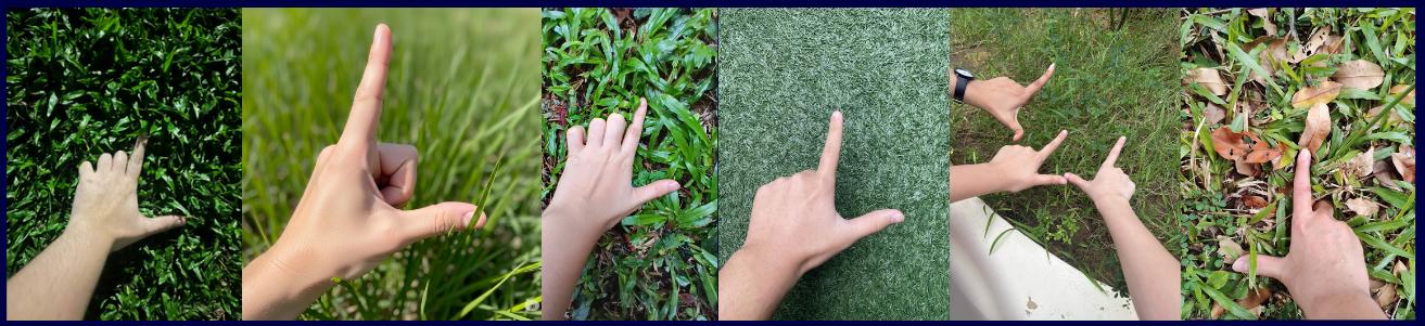 Grassssss